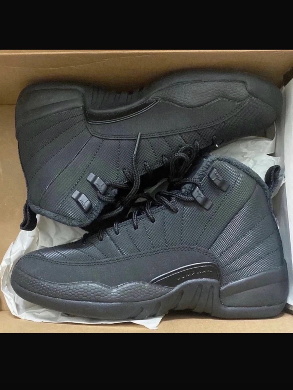 Jordan 12s